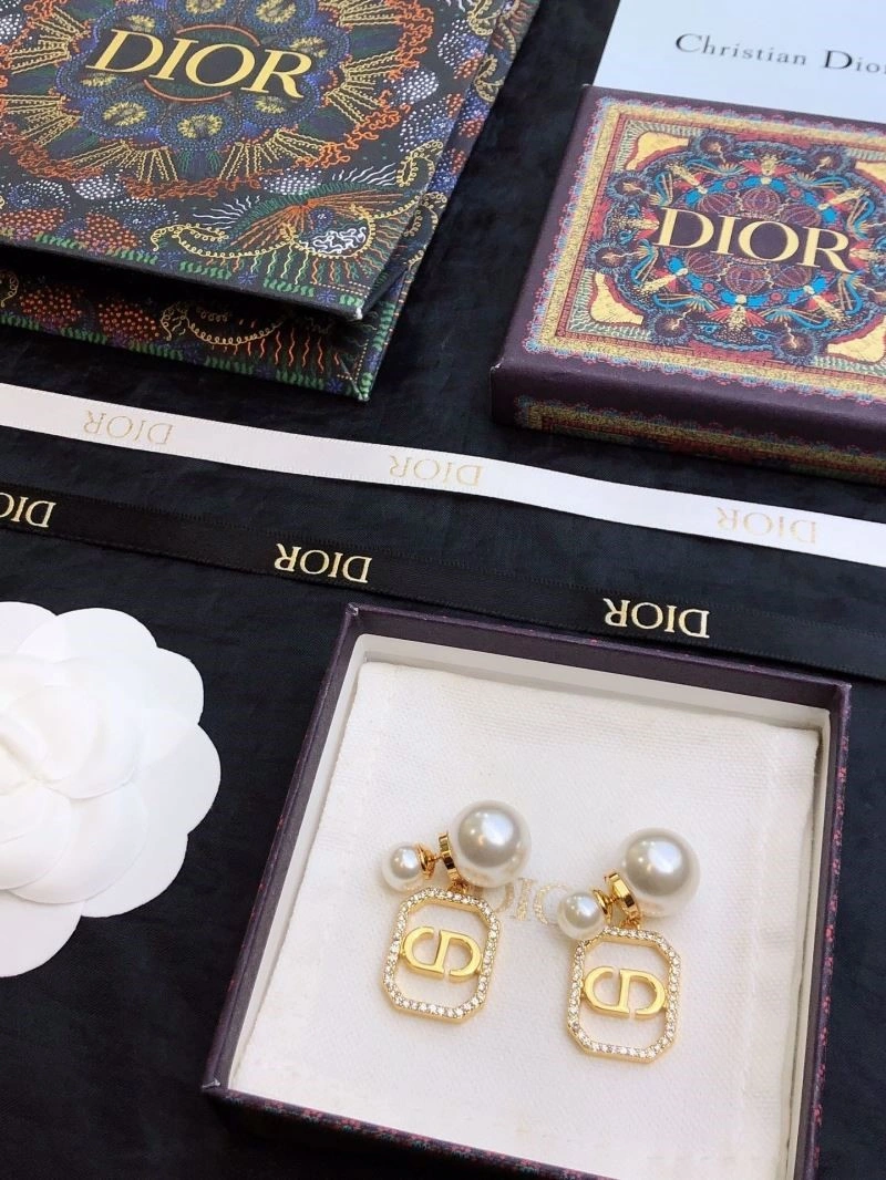 Attractive Christian Dior Earrings 234171