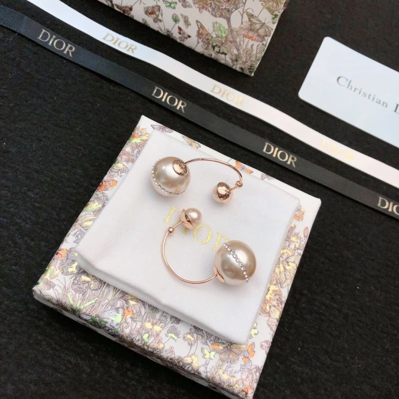 Trendsetting Christian Dior Earrings 234184