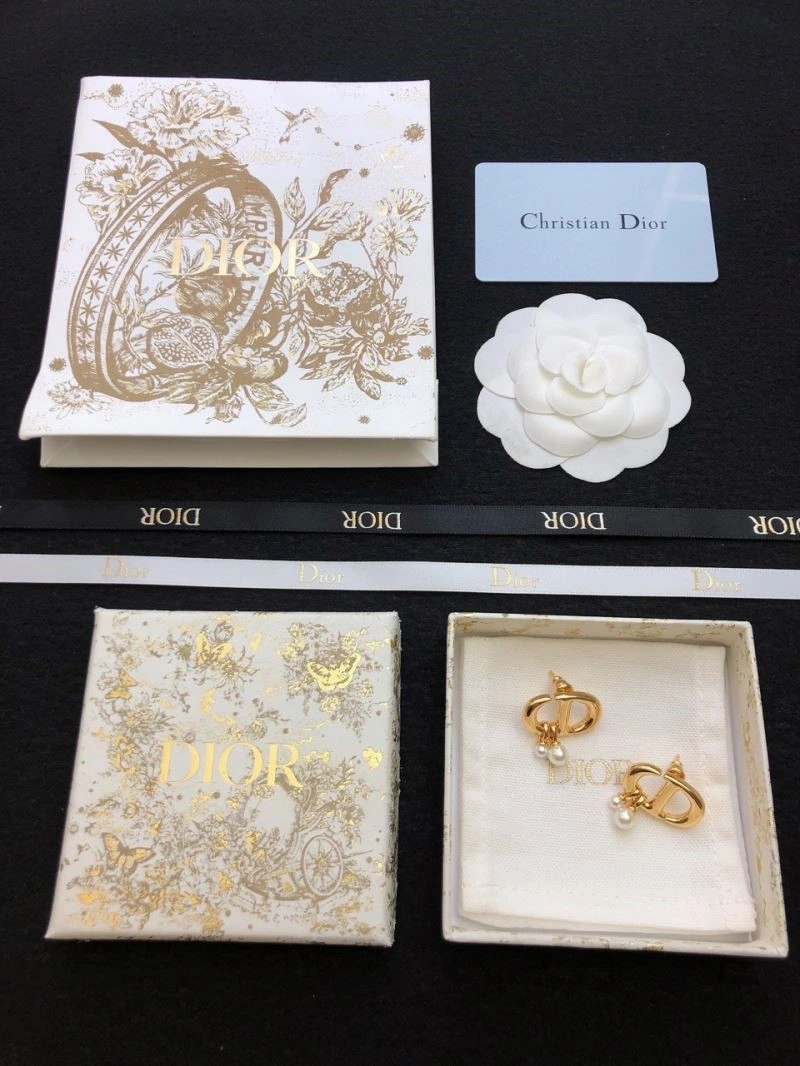 Sporty Christian Dior Earrings 234160
