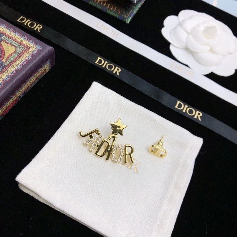 MultiPurpose Christian Dior Earrings 234159