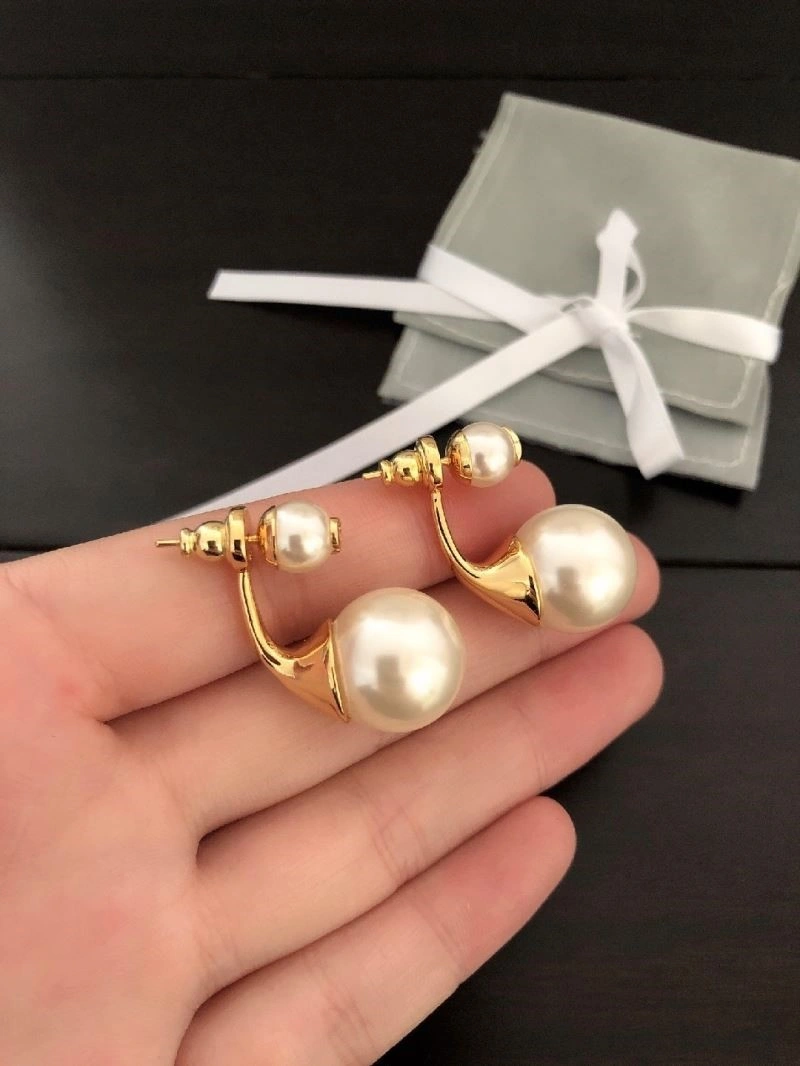 Attractive Christian Dior Earrings 234156