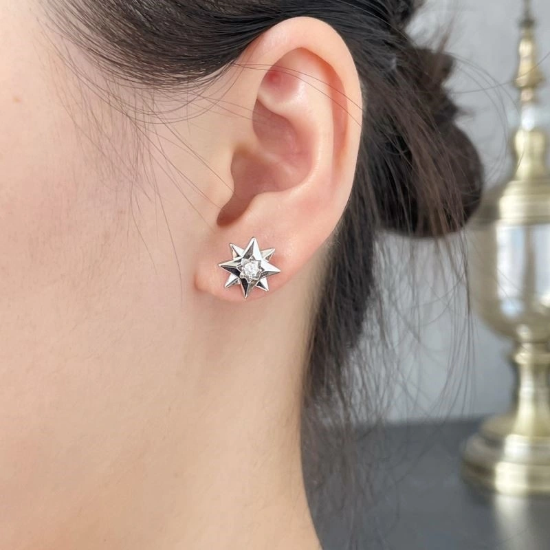 QuickDry Christian Dior Earrings 234155