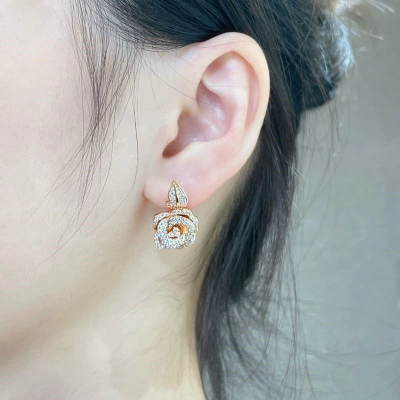 Sleek Christian Dior Earrings 234154