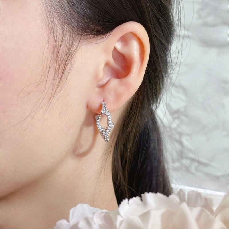 Christian Dior Earrings Chic 234145