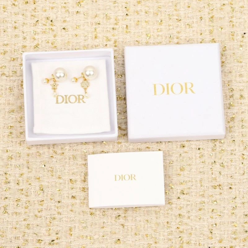 Christian Dior Earrings Contemporary 234119