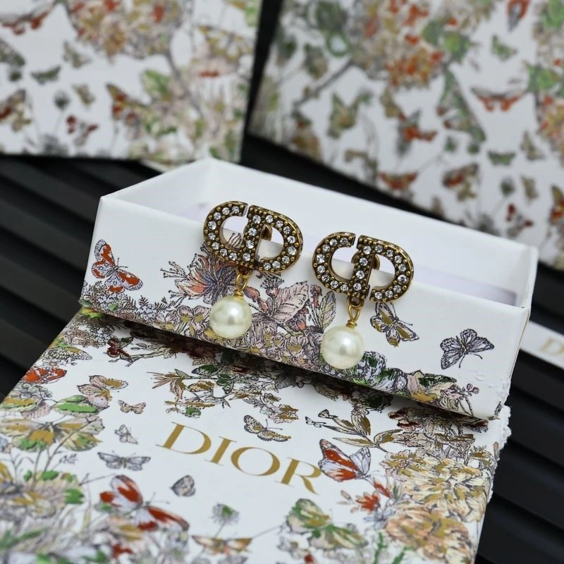 Cozy Christian Dior Earrings 233939