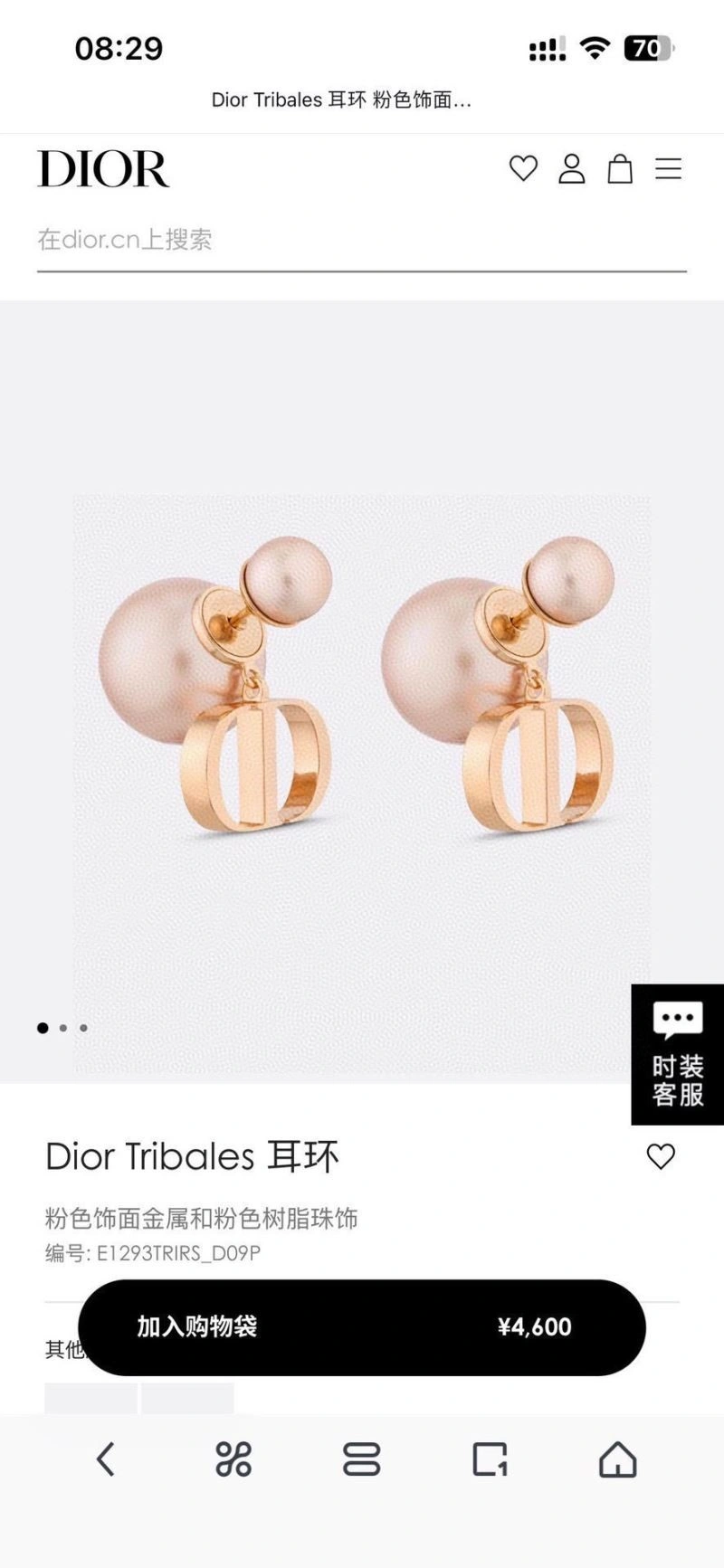 Christian Dior Earrings Sustainable 233907