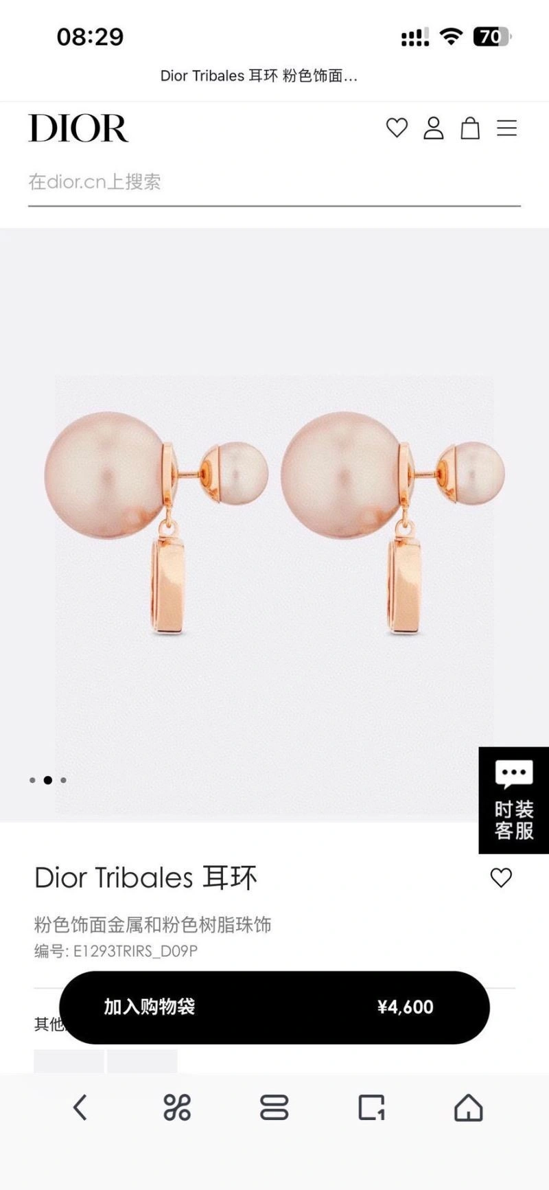 Christian Dior Earrings Sustainable 233907