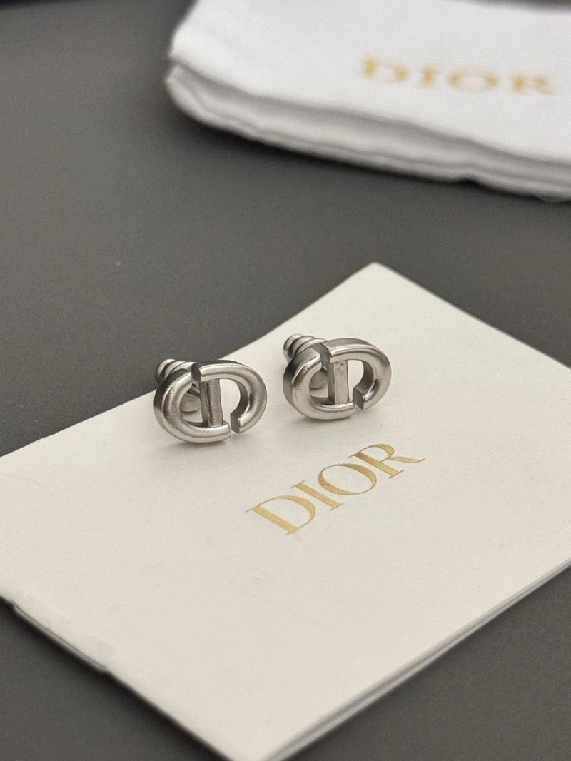Durable Christian Dior Earrings 233938
