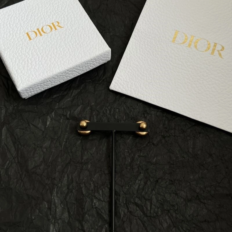 Christian Dior Earrings WrinkleFree 233889