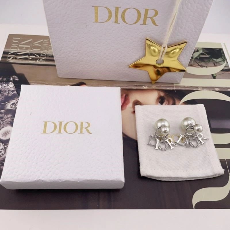 Christian Dior Earrings Affordable 233871