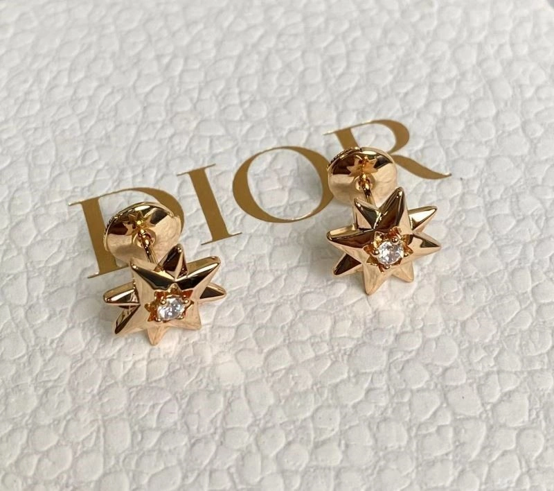 Supportive Christian Dior Earrings 233877