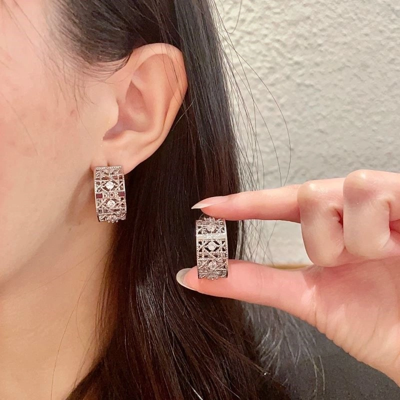 Christian Dior Earrings Thermal 233914
