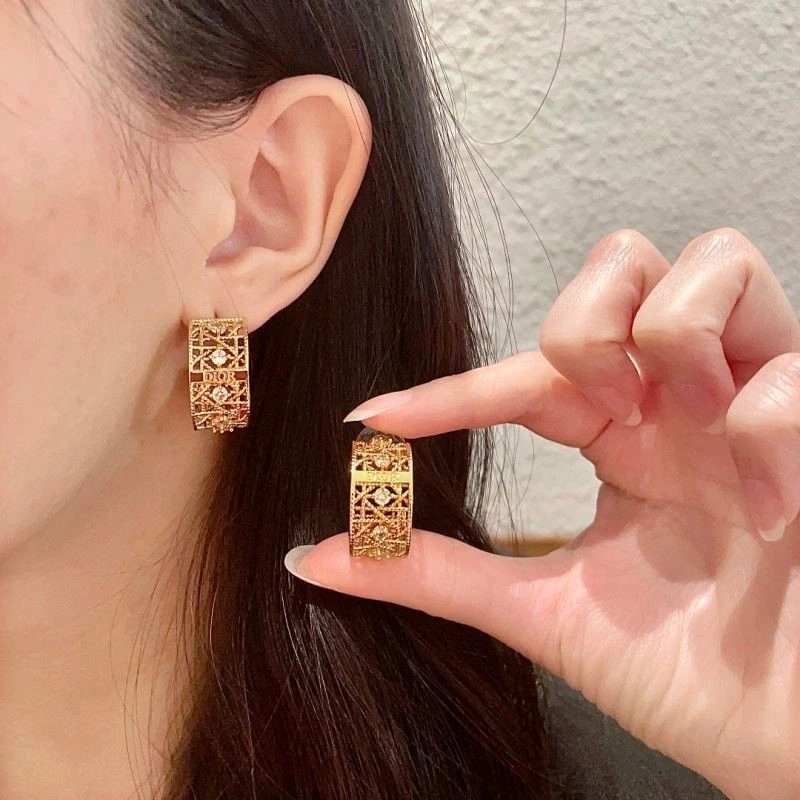 Reliable Christian Dior Earrings 233860