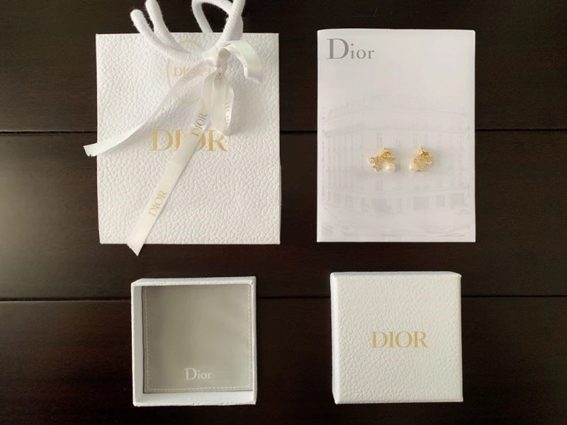 Breathable Christian Dior Earrings 233922