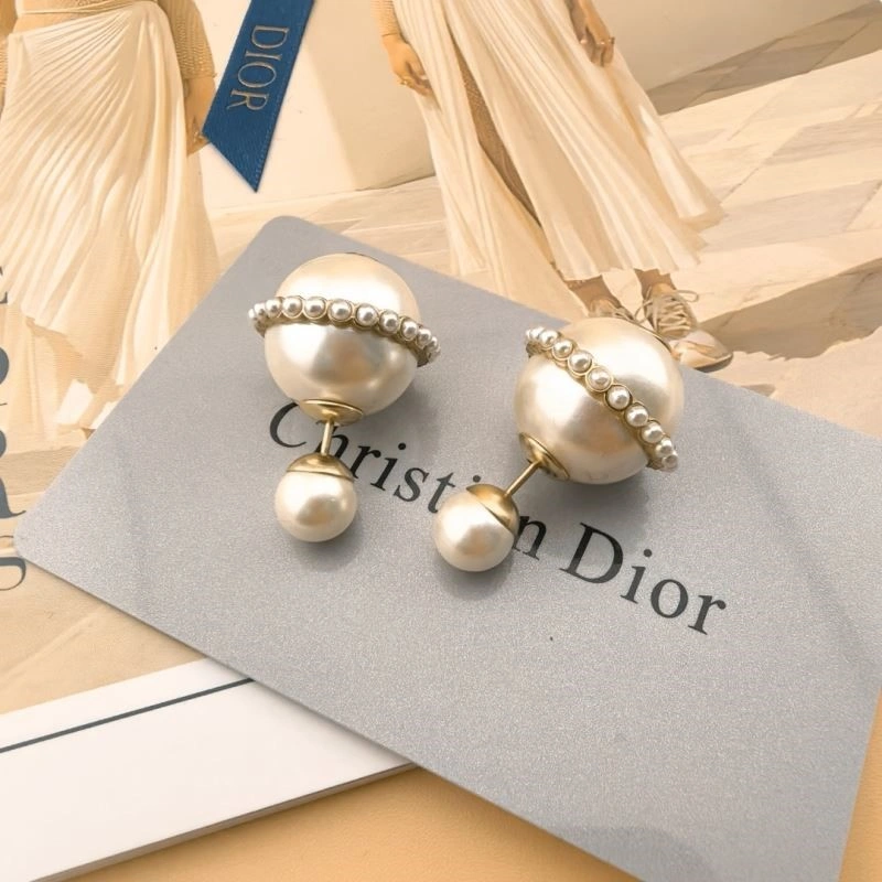Colorful Christian Dior Earrings 233852