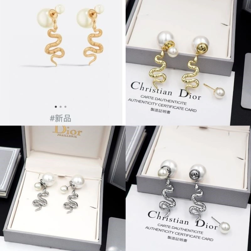 Christian Dior Earrings Affordable 233828