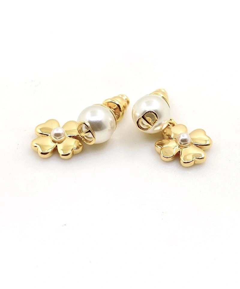 Christian Dior Earrings Affordable 233604