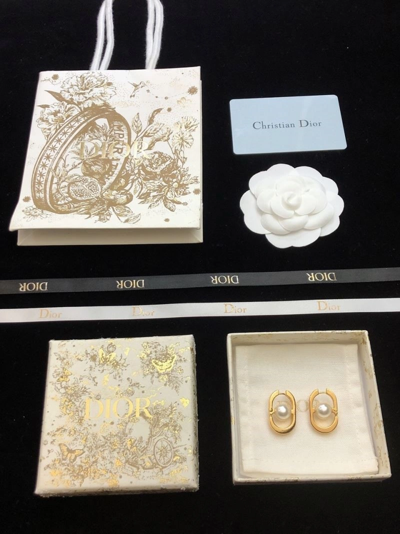 Christian Dior Earrings Casual 233553
