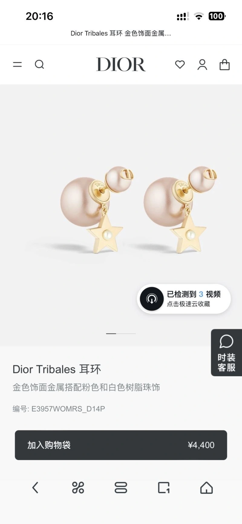 Packable Christian Dior Earrings 233512