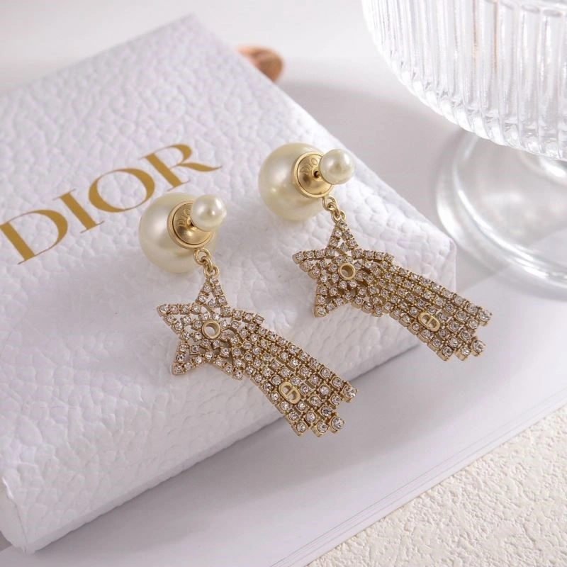 Christian Dior Earrings Breathable 233511