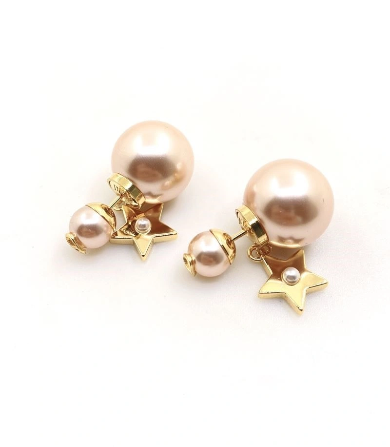 Packable Christian Dior Earrings 233514