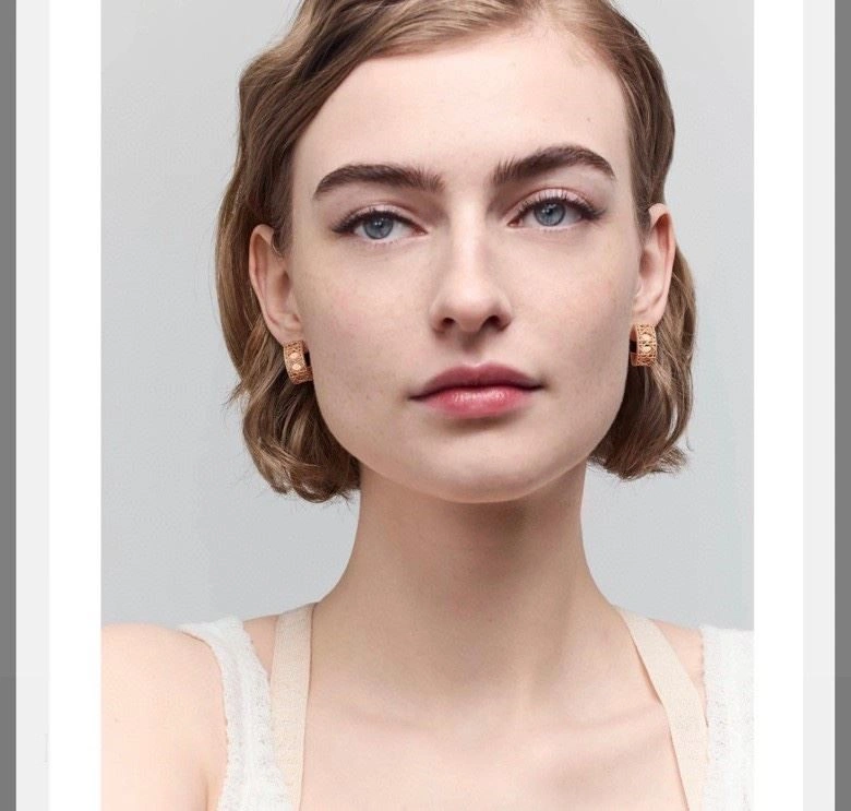 TopPick Christian Dior Earrings 233516