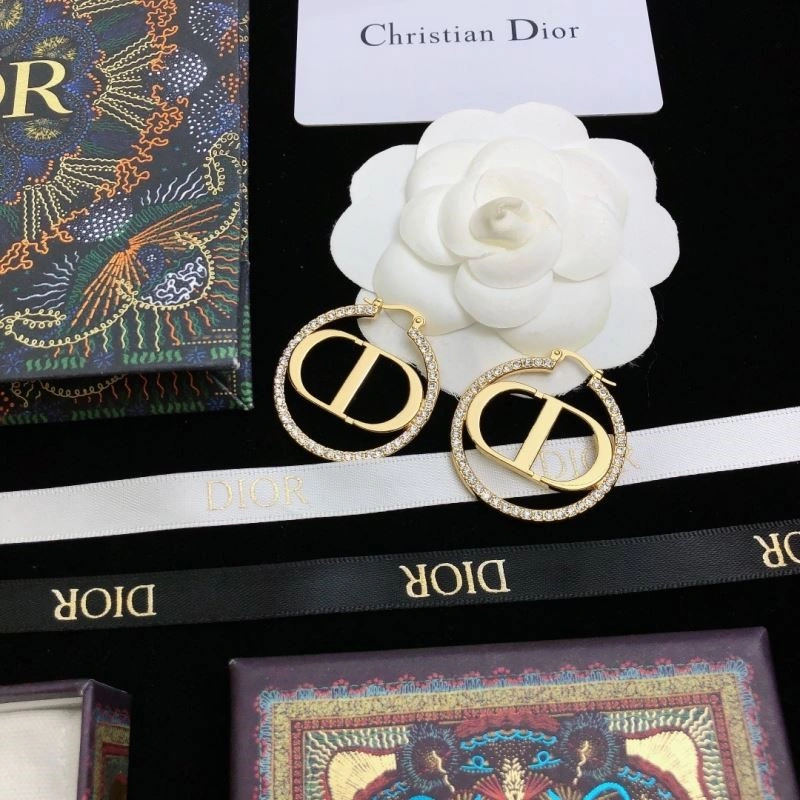 Christian Dior Earrings Contemporary 233495