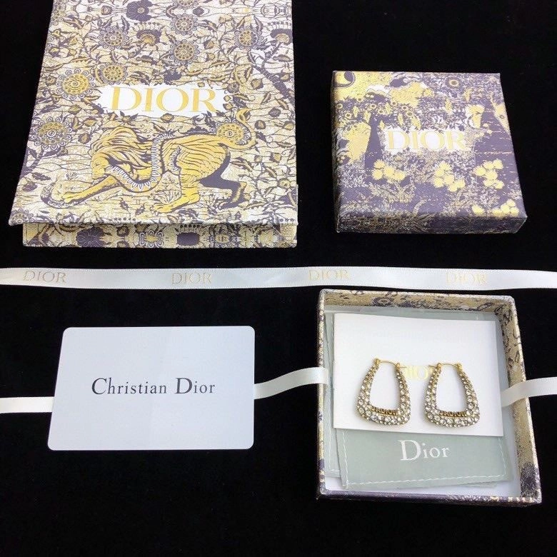 Comfortable Christian Dior Earrings 233434