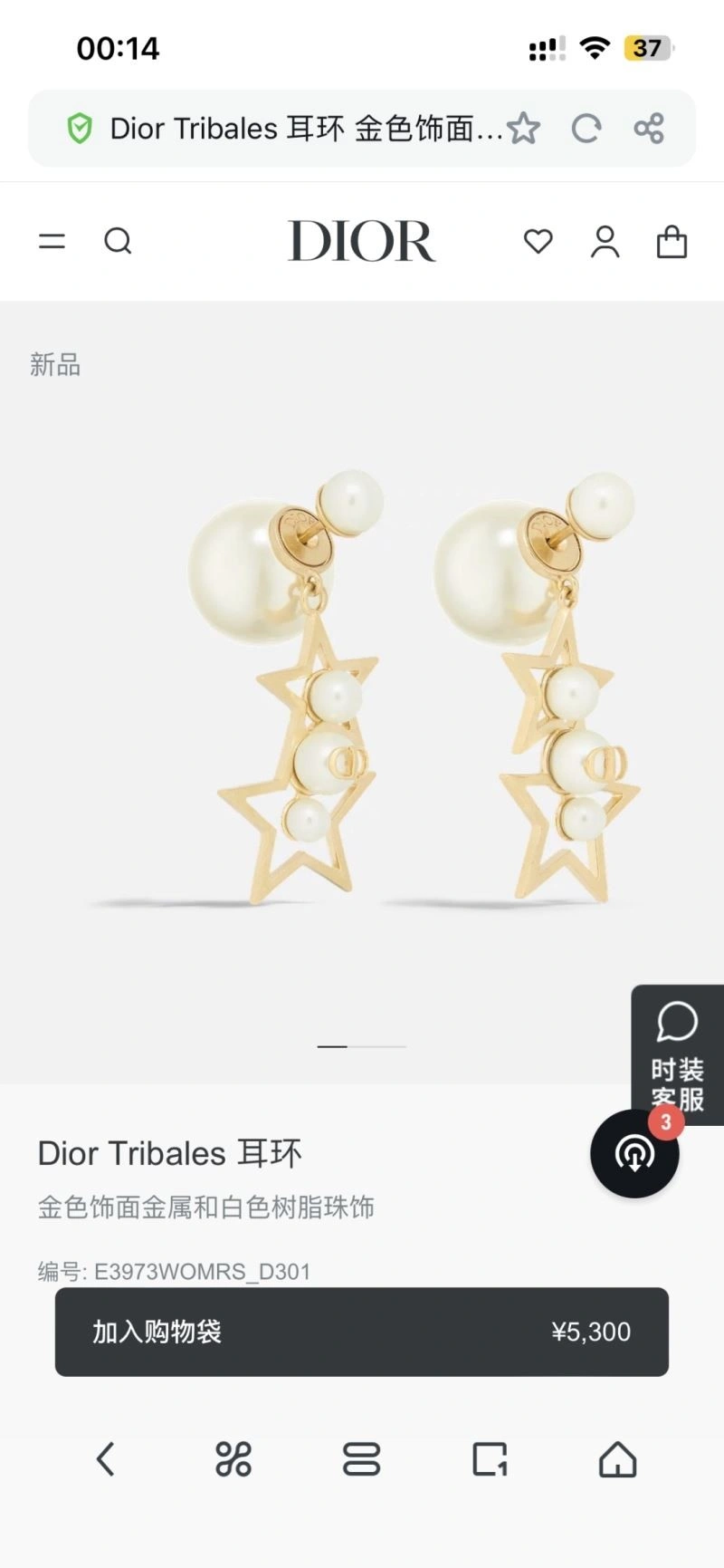 ZipUp Christian Dior Earrings 233248