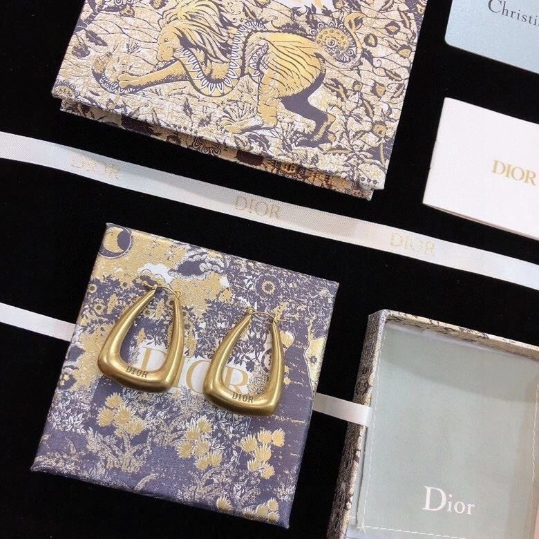 Premium Christian Dior Earrings 233221