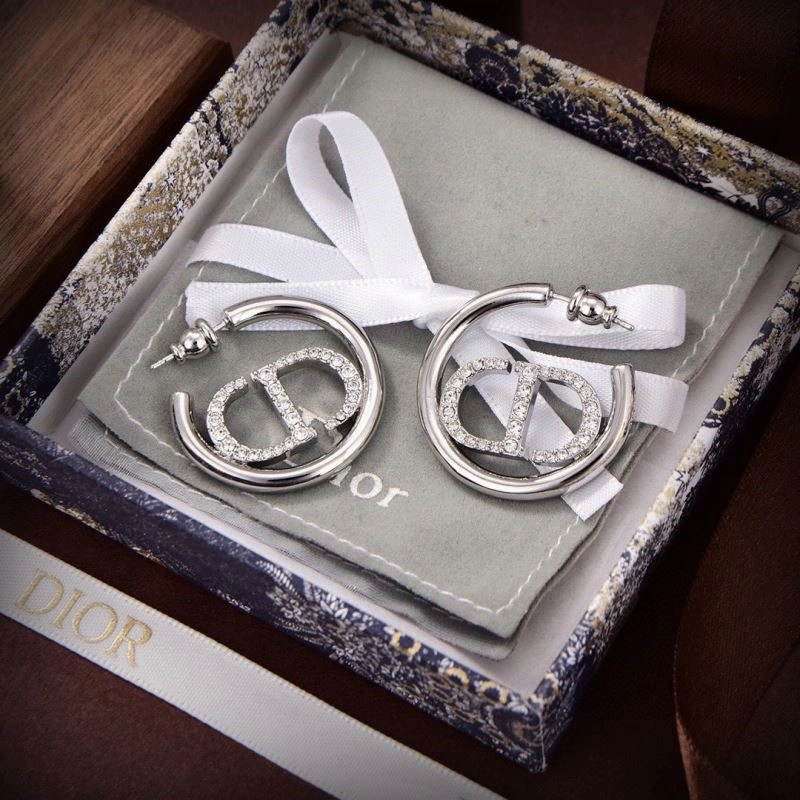 Christian Dior Earrings Contemporary 233210