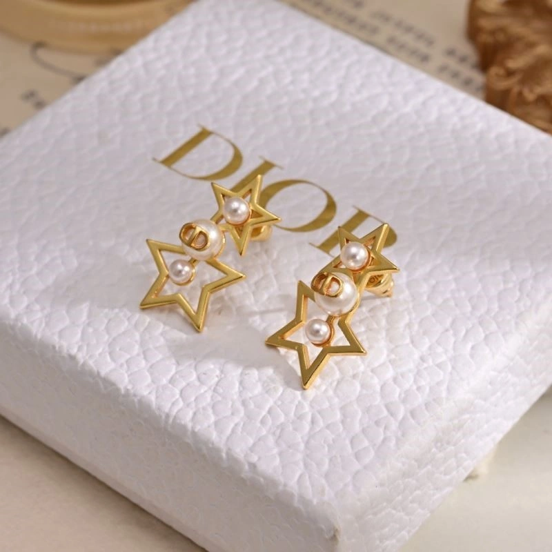 Christian Dior Earrings Sleek 233206