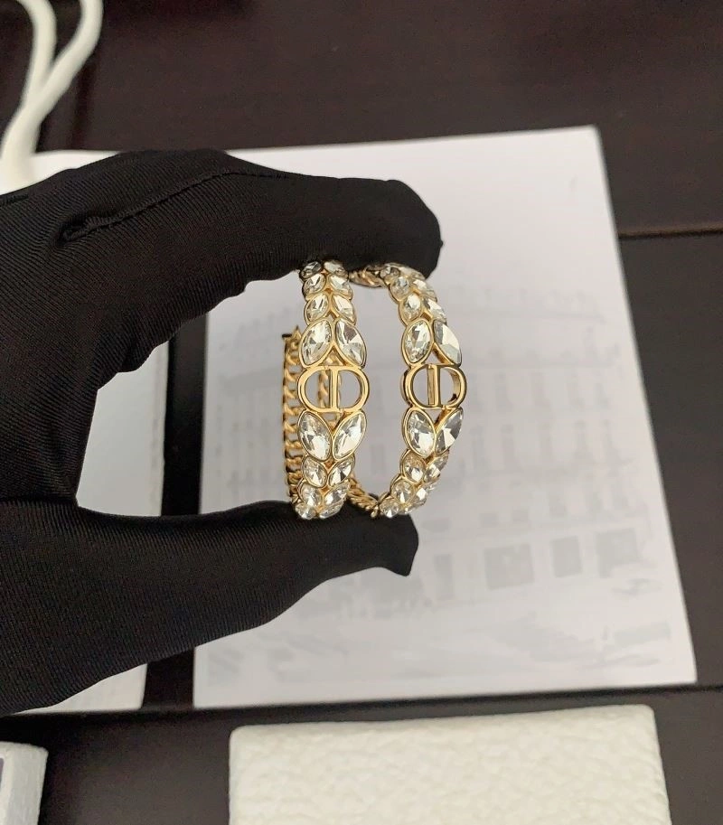 Stretchable Christian Dior Earrings 233202