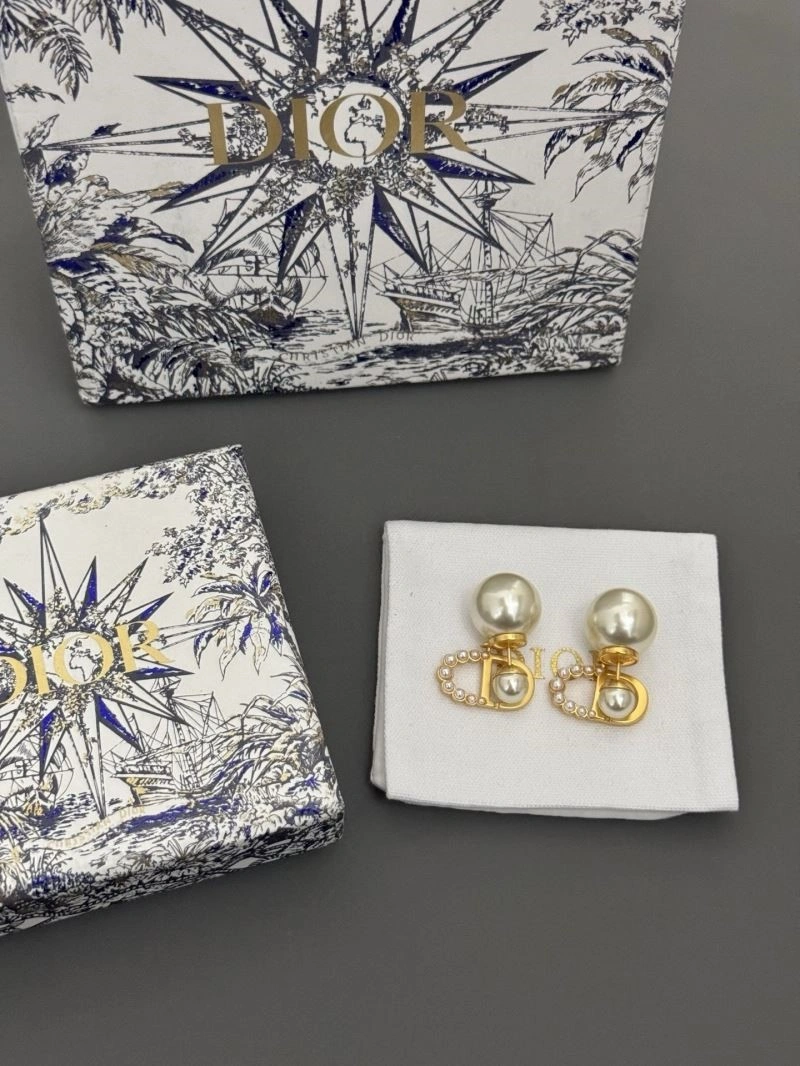 Seasonal Christian Dior Earrings 233204