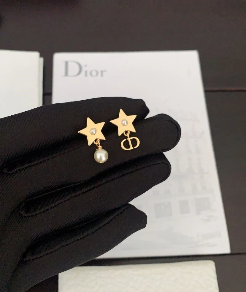 Packable Christian Dior Earrings 233174