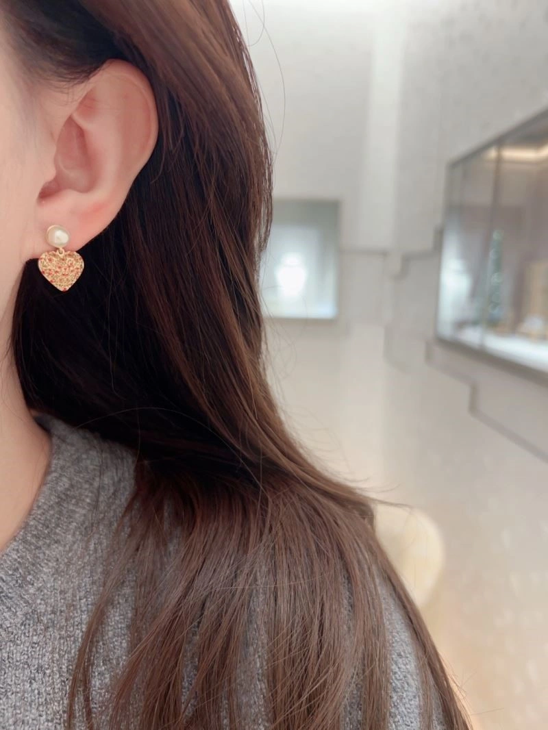 Cozy Christian Dior Earrings 233148