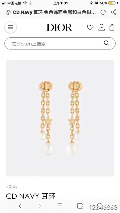 Functional Christian Dior Earrings 233196