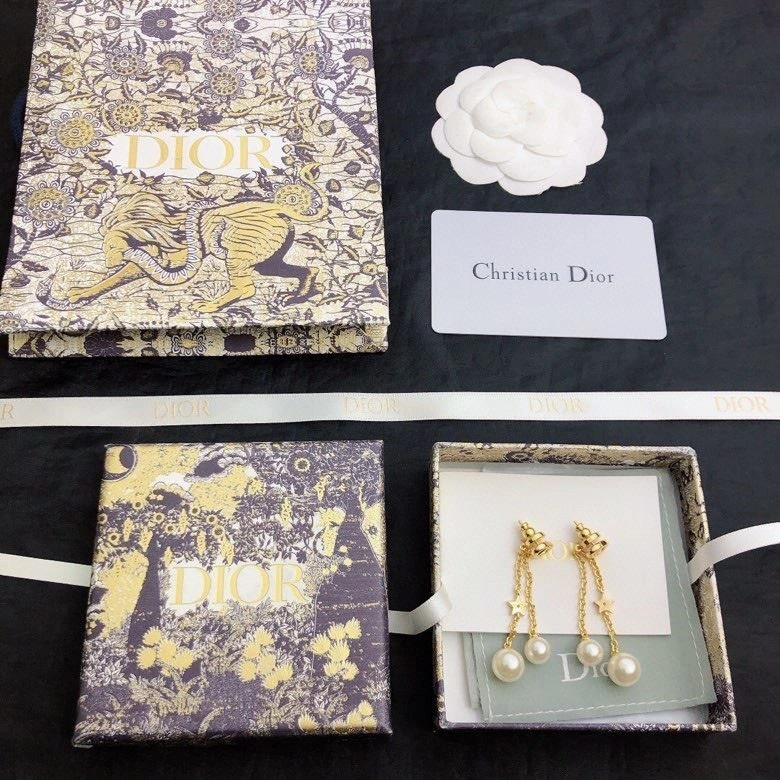 Functional Christian Dior Earrings 233196