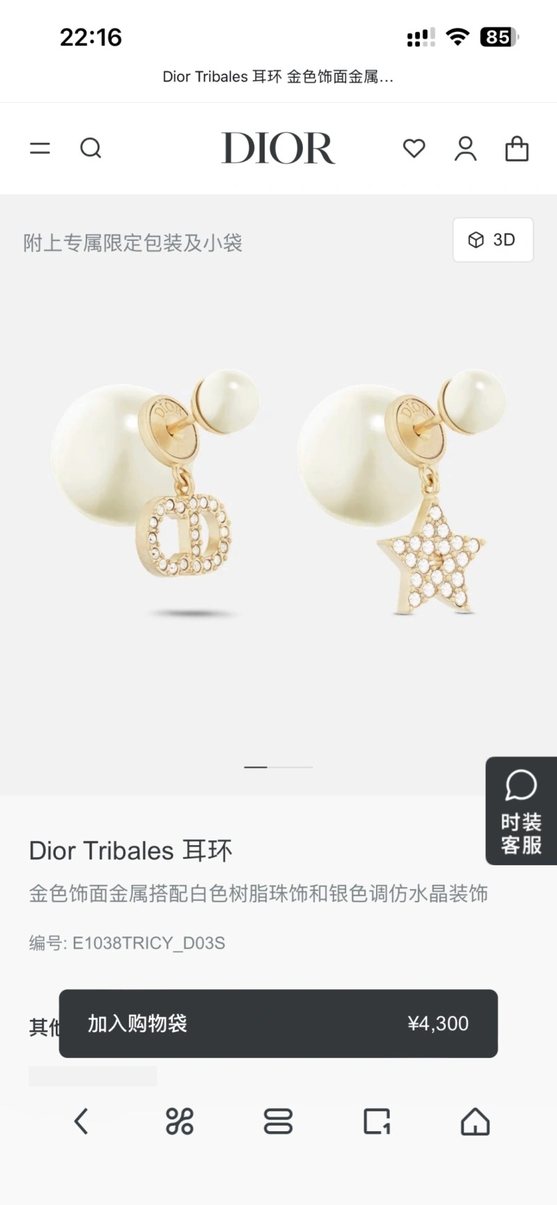 WellDesigned Christian Dior Earrings 233177