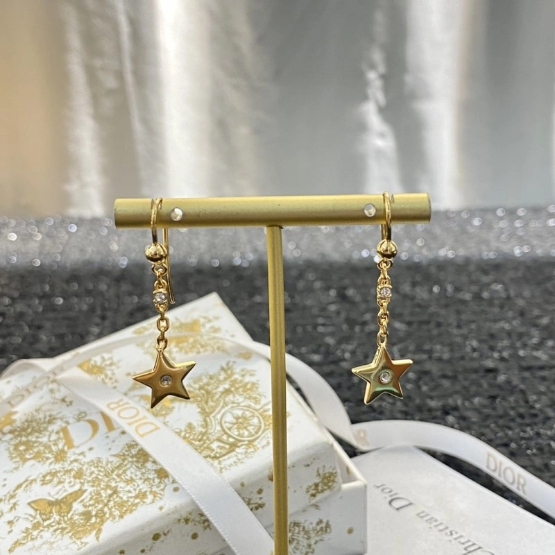 Popular Christian Dior Earrings 232855