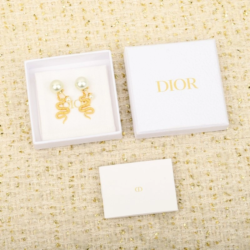 Christian Dior Earrings Stylish 232862