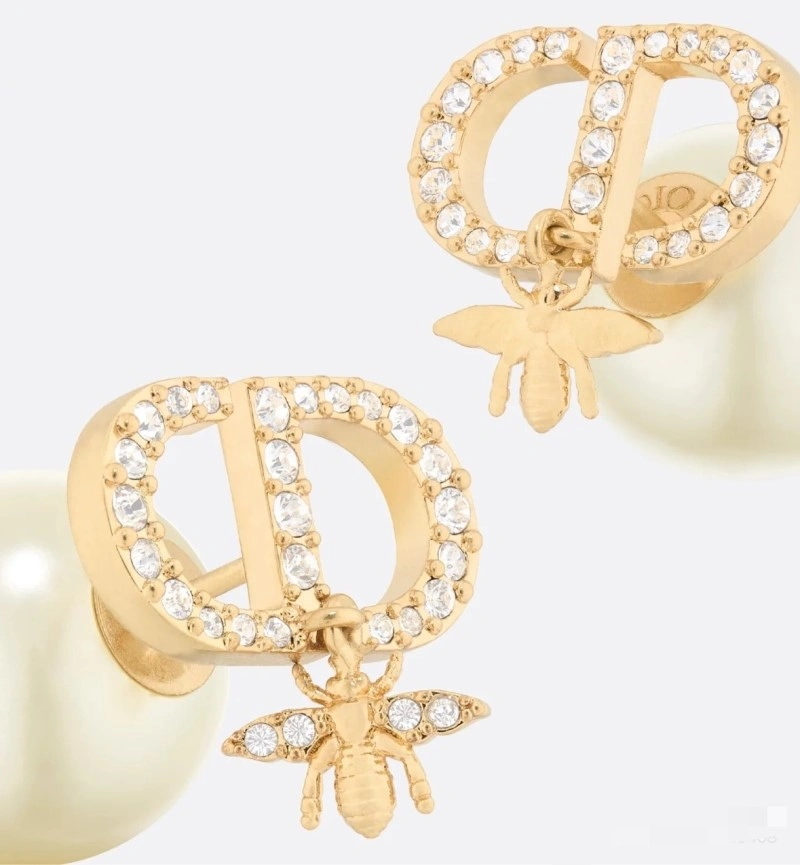 Christian Dior Earrings Compact 232868