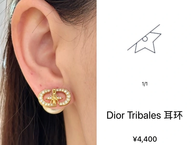 Christian Dior Earrings Compact 232868