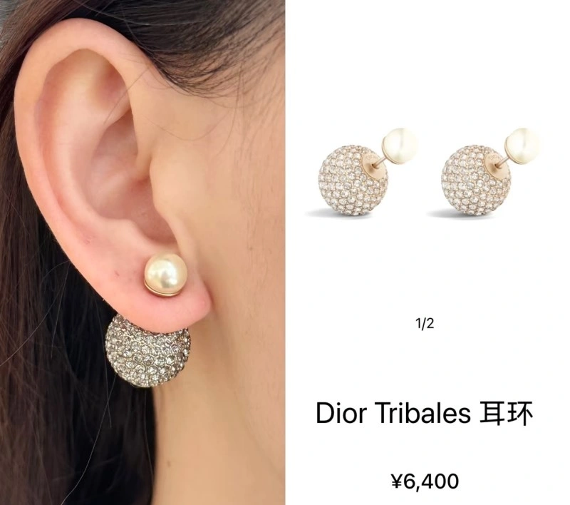 Christian Dior Earrings Unisex 232805