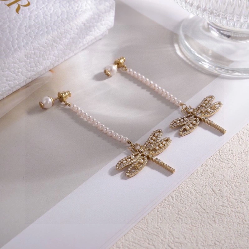 Neat Christian Dior Earrings 232938