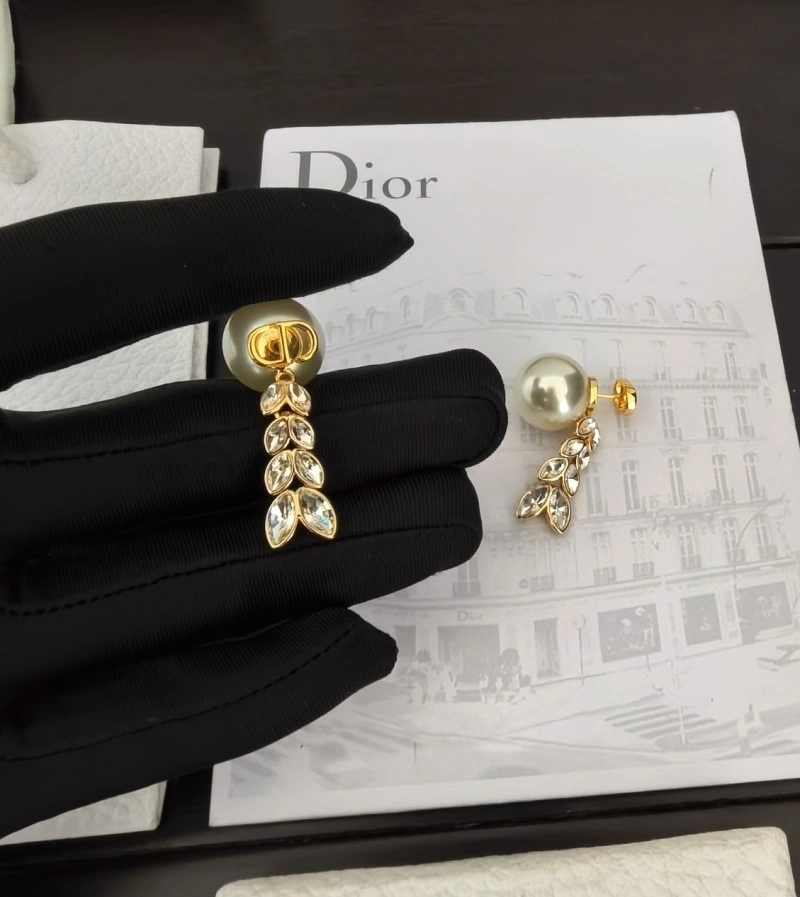 Sleek Christian Dior Earrings 232762