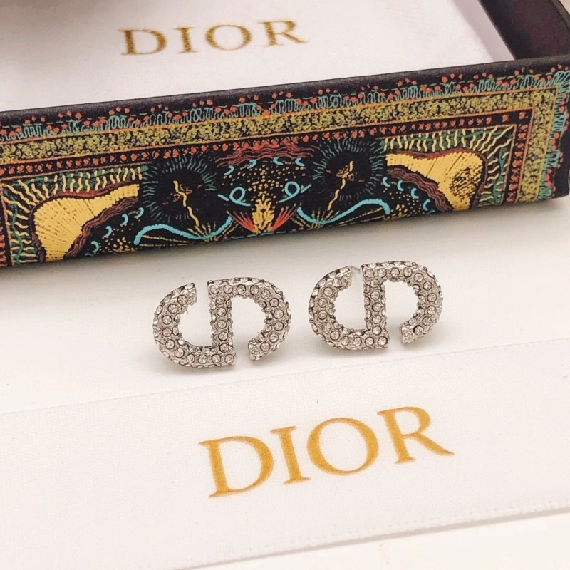 Casual Christian Dior Earrings 232758