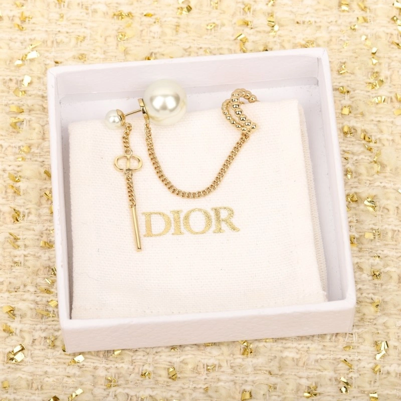 Packable Christian Dior Earrings 232706