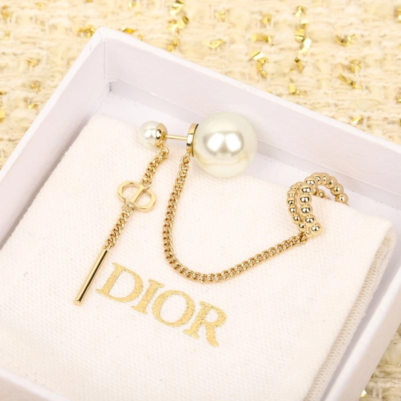 Packable Christian Dior Earrings 232706